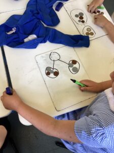 Term 6 Week 3