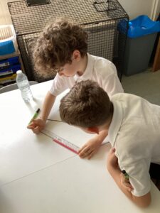 Term 6 Week 5