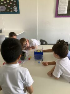 Term 6 Week 6