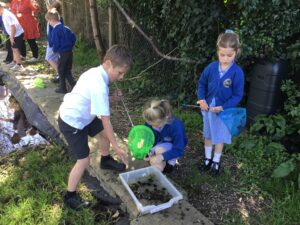 Term 5 Week 3