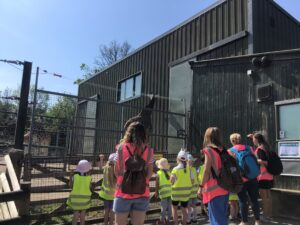 Term 5- Week 2