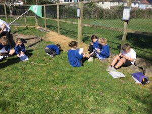 Term 5 Week 3