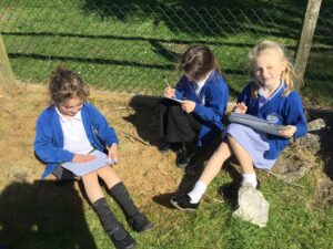 Term 5 Week 3