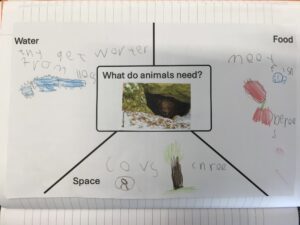 Term 5- Week 4