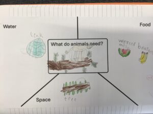 Term 5- Week 4