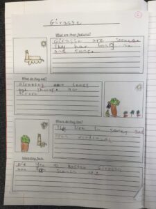 Term 5- Week 4