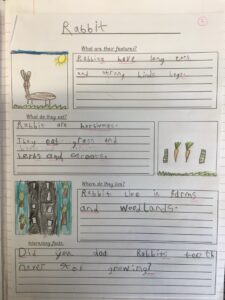 Term 5- Week 4