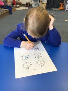 Term 6- Week 1