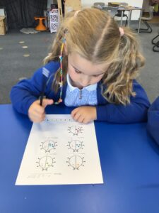 Term 6- Week 1