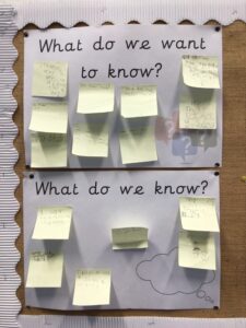 Term 6- Week 1