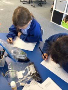 Term 6- Week 4