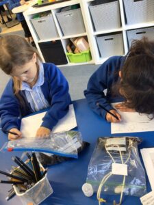 Term 6- Week 4
