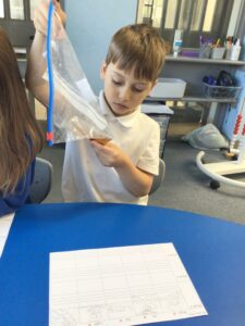 Term 6- Week 4