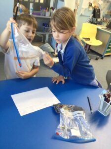 Term 6- Week 4