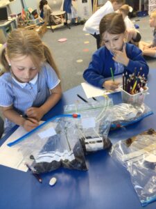 Term 6- Week 4
