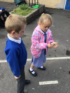 Term 6- Week 4