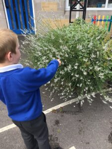 Term 6- Week 4