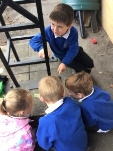 Term 6- Week 4