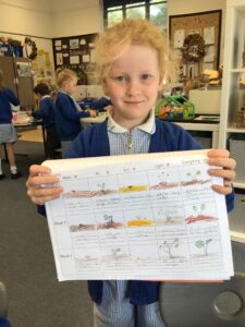 Term 6- Week 6