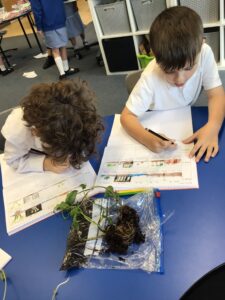 Term 6- Week 6