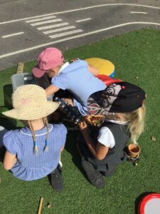 Term 6- Week 6