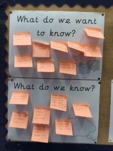 Term 1- Week 2