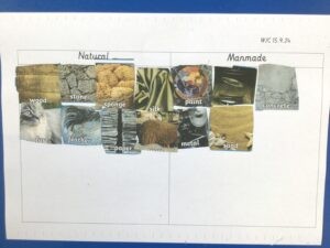 Term 1- Week 4