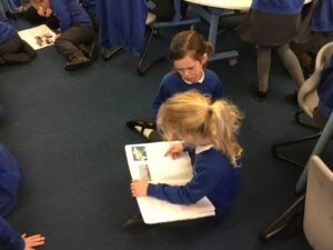 Term 2 Week 7