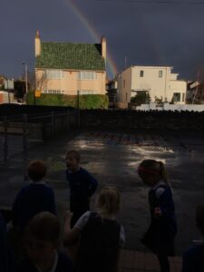 Term 2- Week 3