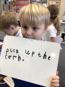 Term 2-Week 6