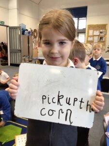 Term 2-Week 6