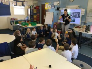 Term 4 Week 6