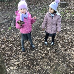 Term 3- Week 1