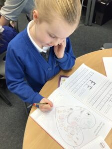 Term 3- Week 2