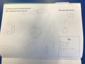 Term 3- Week 4