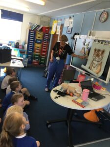 Term 6 Week 3