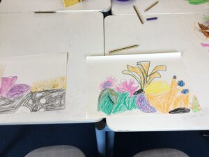 Term 6 Week 5