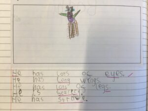 Term 4- Week 2