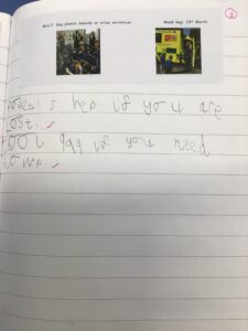 Term 4- Week 5