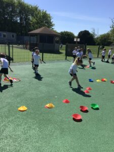 Term 5- Week 2