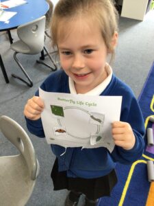 Term 5- Week 4