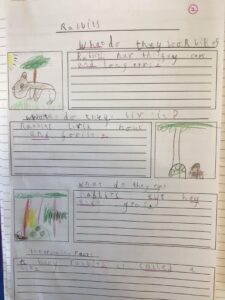 Term 5- Week 4
