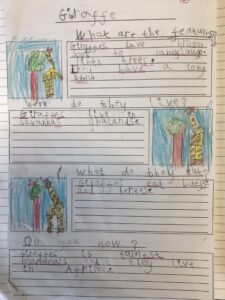 Term 5- Week 4
