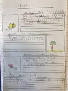 Term 5- Week 4