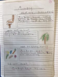 Term 5- Week 4