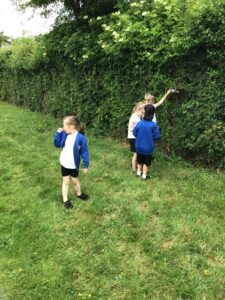 Term 5- week 5