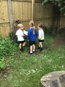 Term 5- week 5
