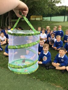Term 6- Week 1