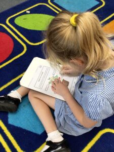 Term 6- Week 2
