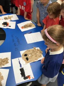 Term 6- Week 3